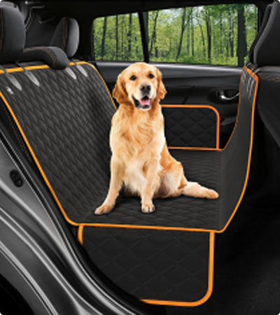 کیف حیوانات خانگی